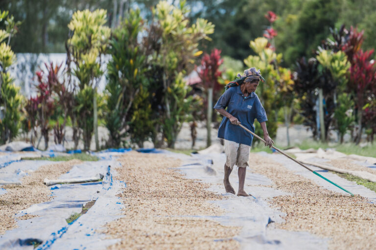 Coffee production sees decline: Report