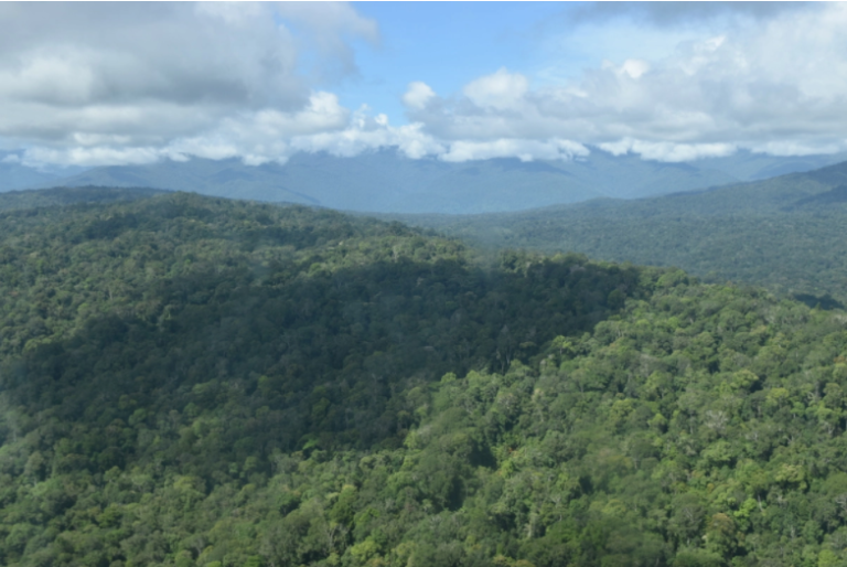 PM launches the Managalas Forest Carbon Pilot Project