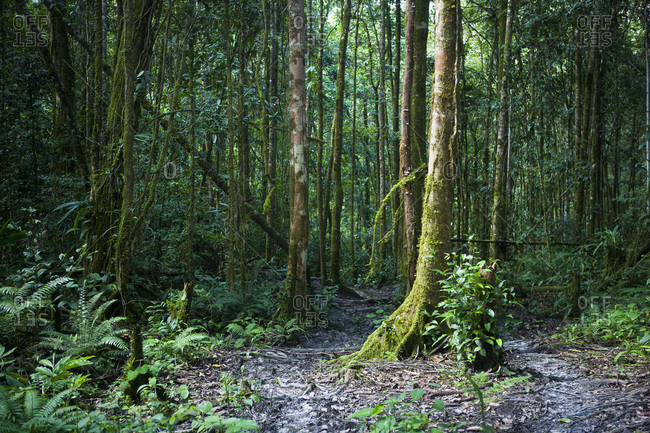 PNG FOCUS ON GREEN ECONOMY AT THE EXPO2020