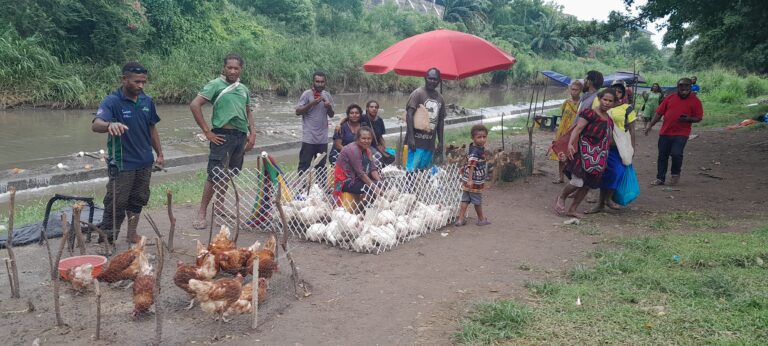 ‘Poultry products price spike unlikely’