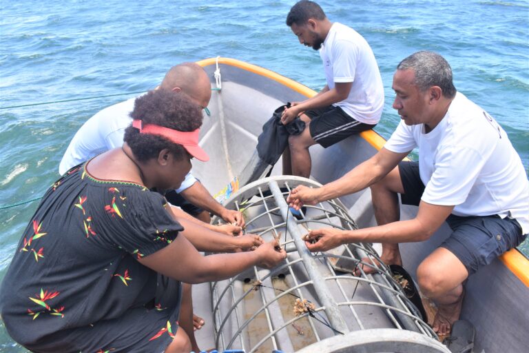 Hiri Coral PNG launches coral reef nursery planting