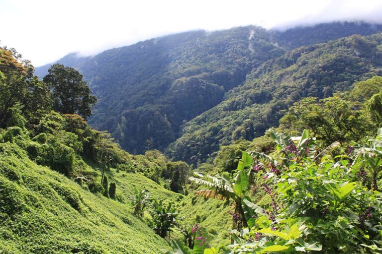Australian trek operator warned.