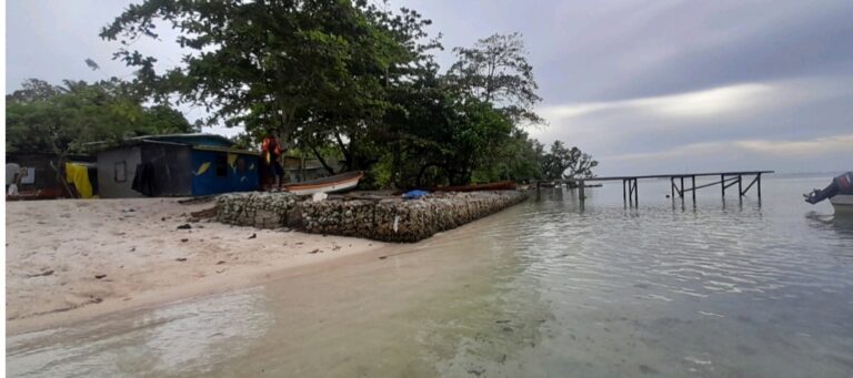 THE QUEST FOR SURVIVAL AS THE SEA RISES ON MANUS