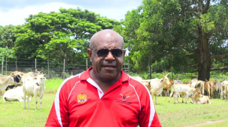 LDC remains committed in national cattle building activity