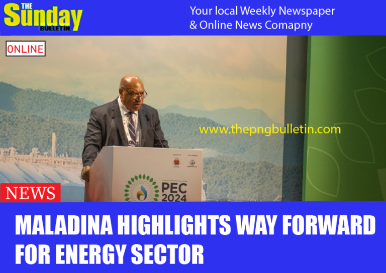 Maladina highlights way forward for energy sector