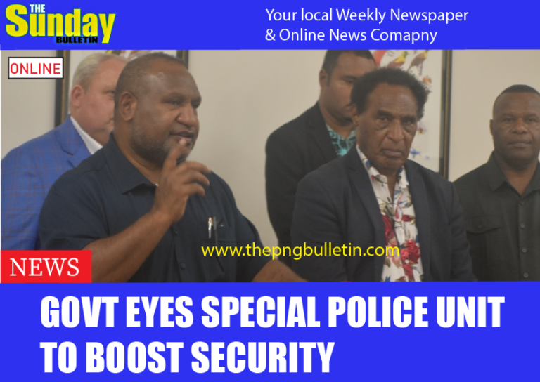 Govt eyes special police unit to boost security