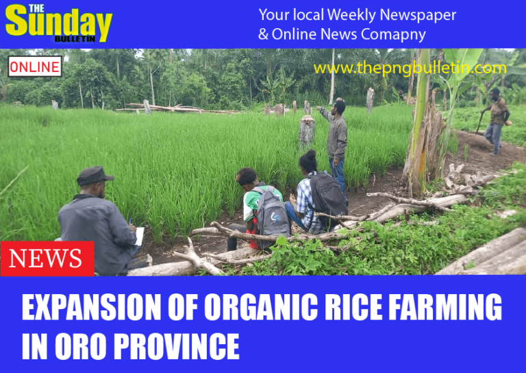 Expansion of organic rice farming in Oro Province