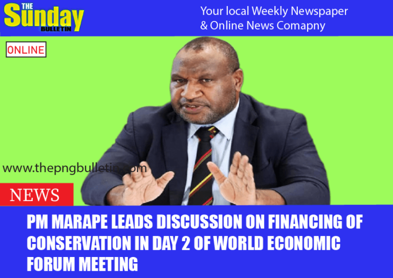 PM MARAPE LEADS DISCUSSION ON FINANCING OF CONSERVATION IN DAY 2 OF WORLD ECONOMIC FORUM MEETING