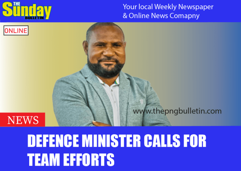 Defence Minister calls for team efforts