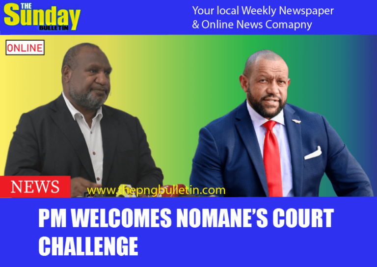 PM welcomes Nomane’s court challenge