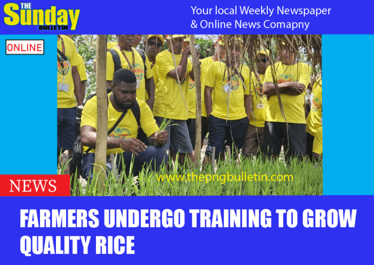 Farmers undergo training to grow quality rice