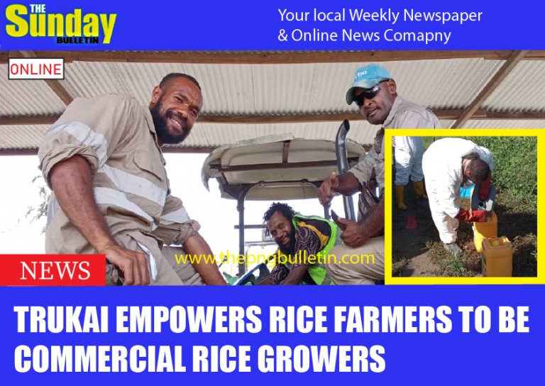Trukai empowers rice farmers to be commercial rice growers