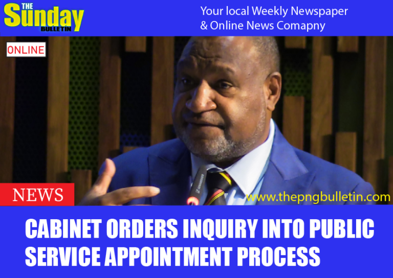 CABINET ORDERS INQUIRY INTO PUBLIC SERVICE APPOINTMENT PROCESS