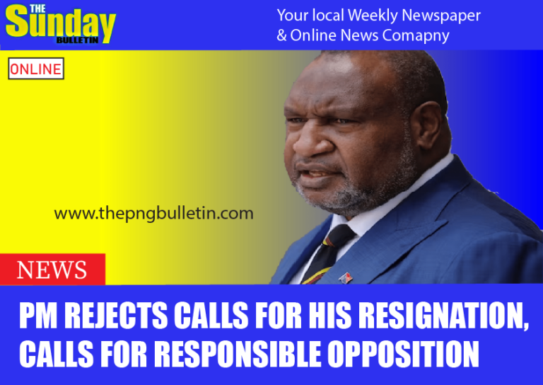 PM Rejects Calls For His Resignation, Calls For Responsible Opposition