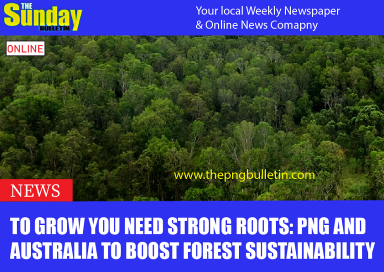 To grow you need strong roots: PNG and Australia to boost forest sustainability