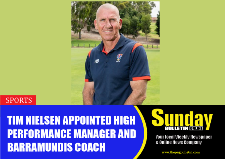 Tim Nielsen Appointed High Performance Manager and Barramundis Coach