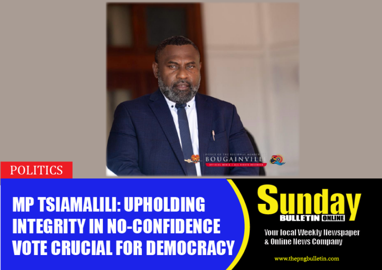 MP Tsiamalili: Upholding Integrity in No-Confidence Vote Crucial for Democracy