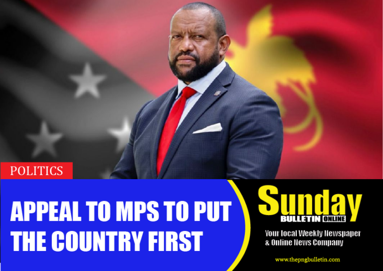 Appeal to MPs to Put the Country First