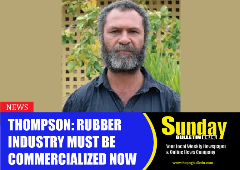 Thompson: Rubber industry must be commercialized now