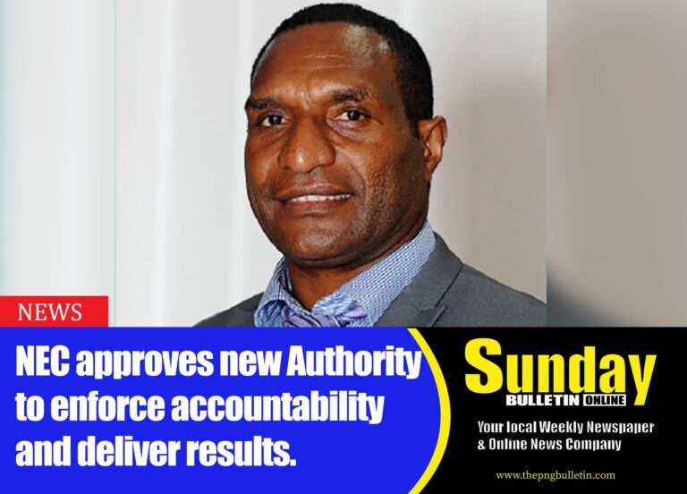 The Government has appointed Mr. David Wereh, former Secretary for Works and Highways and architect of the Connect PNG initiative, as Interim CEO.