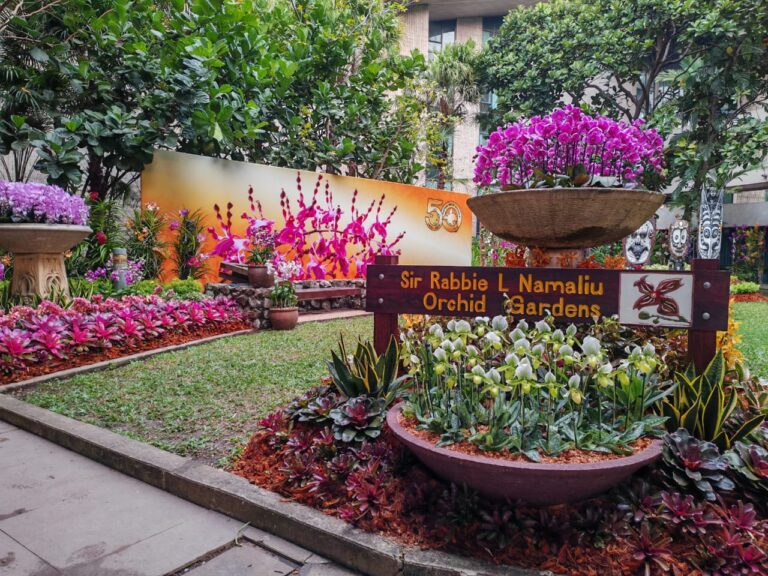 Highlands florists to showcase their products at National Orchid and Flower Show