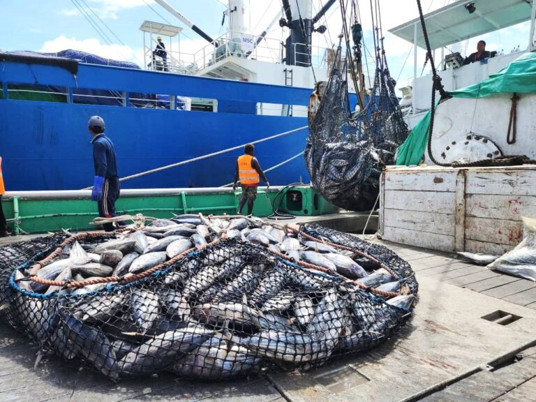 𝗙𝗶𝘀𝗵𝗲𝗿𝗶𝗲𝘀 𝗦𝗲𝗰𝘁𝗼𝗿 𝗖𝗿𝗲𝗮𝘁𝗲𝘀 𝟮𝟬,𝟬𝟬𝟬 𝗝𝗼𝗯𝘀 𝗨𝗻𝗱𝗲𝗿 𝗠𝗮𝗿𝗮𝗽𝗲-𝗥𝗼𝘀𝘀𝗼 𝗚𝗼𝘃𝗲𝗿𝗻𝗺𝗲𝗻𝘁