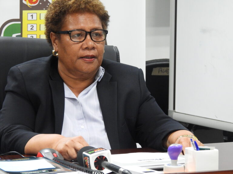 One-Day Polling Set for Dei and New Ireland By-Elections