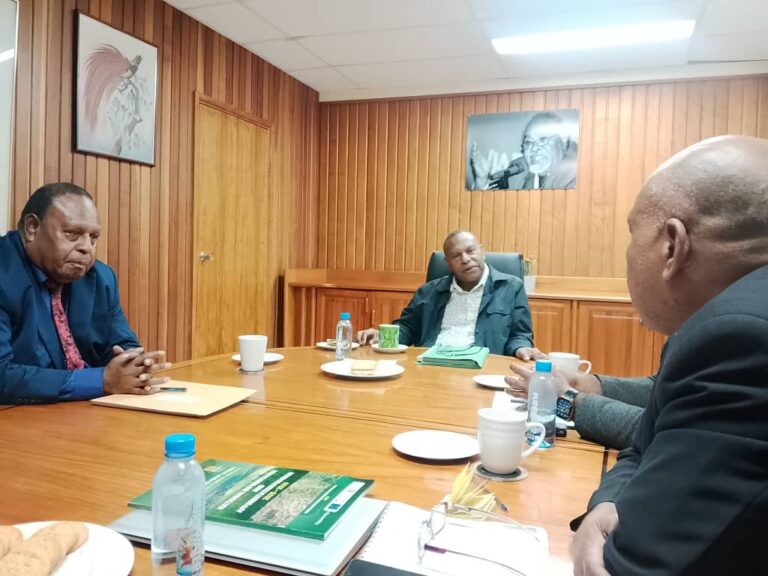 Cabinet endorses massive tree planting program – Forest Minister Salio Waipo