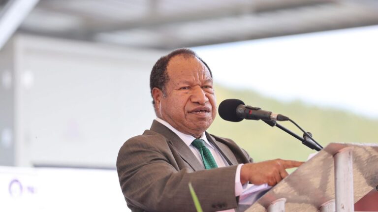 Napanapa solar project a milestone in nation’s development: Duma