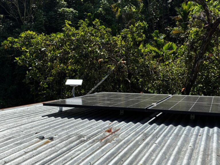4,000 locals get Starlink connection in remote Dorobisoro