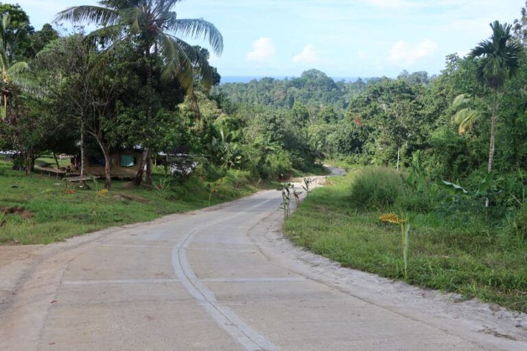 50-year wait ends: New road opens for 2,000 cocoa farmers in North Bougainville