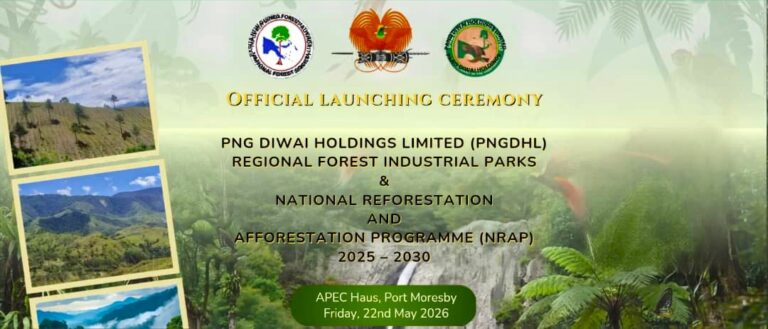National Forestry Sector Forum to Start Tomorrow