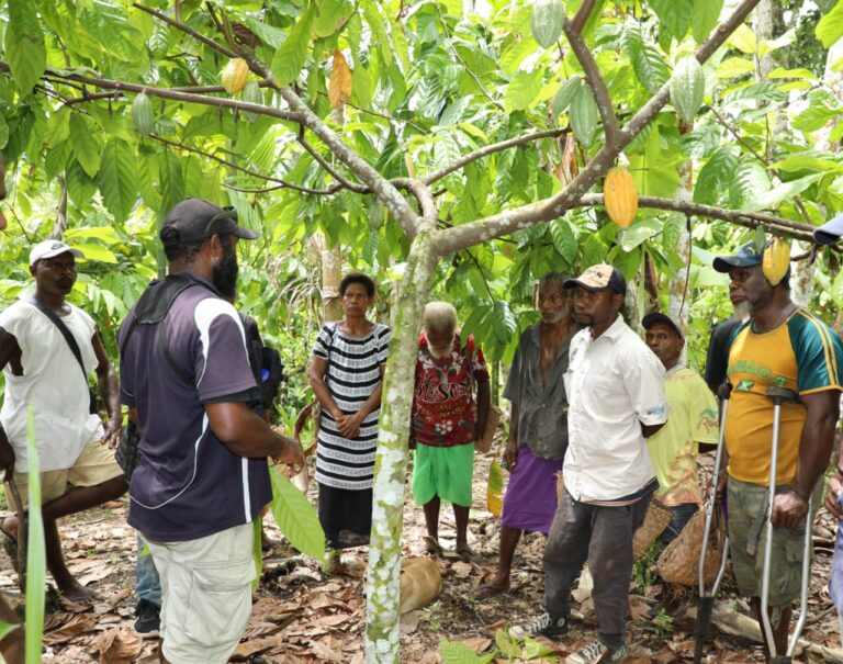 Australia-backed project helps PNG cocoa farmers access premium EU markets
