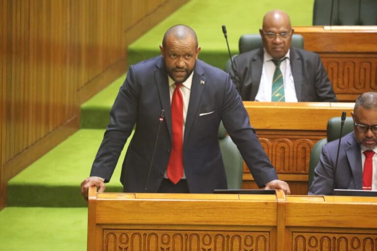 Opposition Leader questions plans for PNG Power