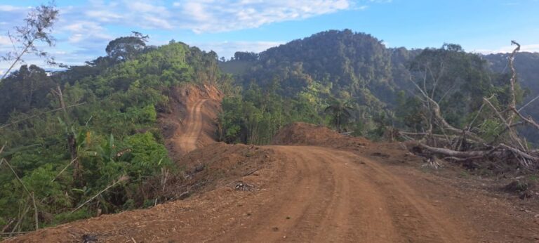 Nawaeb DDA advances Kawarang road upgrade to boost rural connectivity