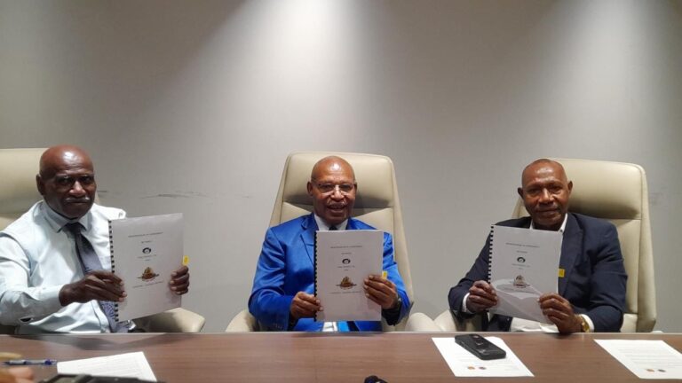 Two New Generators to Boost Power Supply in Yangoru-Saussia
