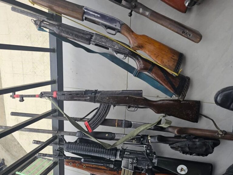 19 firearms & ammunition surrendered to the state in Nipa station