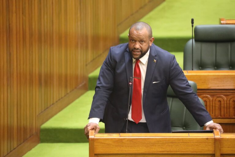 Nomane warns of FATF blacklisting over Treasury changes